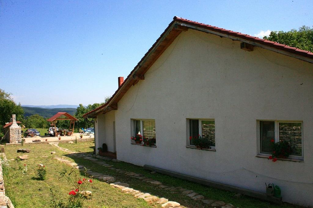 Cuibul Salamandrelor Hotel Sarmizegetusa Exterior photo
