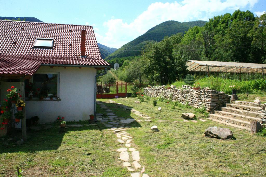 Cuibul Salamandrelor Hotel Sarmizegetusa Exterior photo
